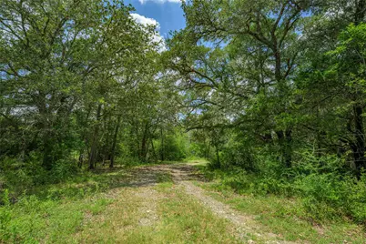 4900 Andreas Road, Round Top, TX 78954 - Photo 12