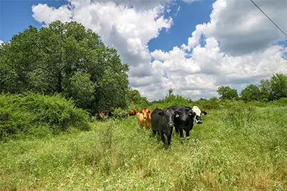 4900 Andreas Road, Round Top, TX 78954 - Photo 20