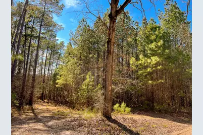 16 Paces Creek, Corrigan, TX 75939 - Photo 8