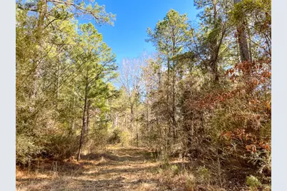 16 Paces Creek, Corrigan, TX 75939 - Photo 2