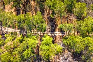 5535 FM350N, Livingston, TX 77351 - Photo 40