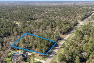 10674 Ruger Rd, Willis, TX 77378 - Photo 6