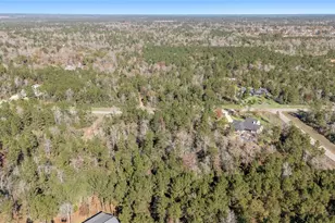 10674 Ruger Rd, Willis, TX 77378 - Photo 12