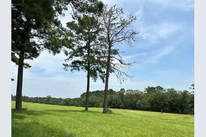 Lot 378 Madison Lake Loop, Woodville, TX 75979 - Photo 16