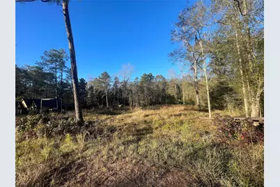 3411 Roman Forest Blvd, New Caney, TX 77365 - Photo 1