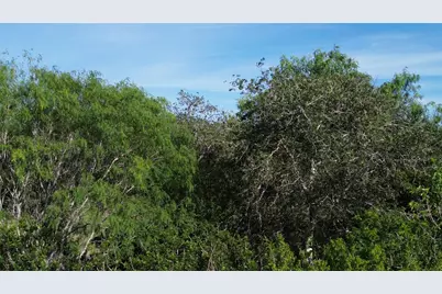 6104 Lucas Road, Goliad, TX 77963 - Photo 6