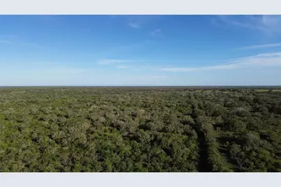 6104 Lucas Road, Goliad, TX 77963 - Photo 14
