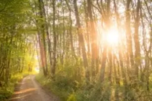 2011 Frst Strm Wy, Conroe, TX 77304 - Photo 4