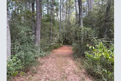 16735 Azalea Lane, Plantersville, TX 77363 - Photo 40