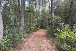 16735 Azalea Ln, Plantersville, TX 77363 - Photo 40