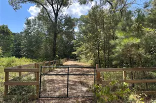 16735 Azalea Ln, Plantersville, TX 77363 - Photo 44