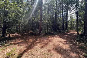 16735 Azalea Ln, Plantersville, TX 77363 - Photo 42