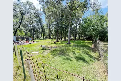 30011 Black Cherry Street, Magnolia, TX 77354 - Photo 26