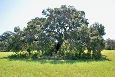 Lot 4 Harvell Lane, Schulenburg, TX 78956 - Photo 4