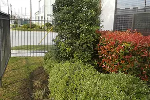 703 St Charles St, Houston, TX 77003 - Photo 4
