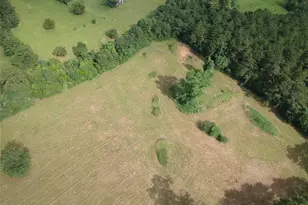 251 Cr1050, Woodville, TX 75979 - Photo 6