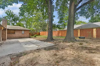 29302 Stapleford Street, Spring, TX 77386 - Photo 4