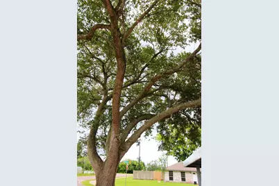 1704 Redwood Circle, Alvin, TX 77511 - Photo 34