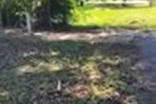 10802 Oswego St, Houston, TX 77029 - Photo 6