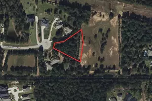 408 Ridgelake Scenic, Montgomery, TX 77316 - Photo 6