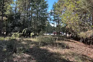 408 Ridgelake Scenic, Montgomery, TX 77316 - Photo 12