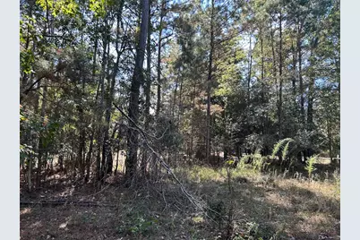 408 Ridgelake Scenic, Montgomery, TX 77316 - Photo 14