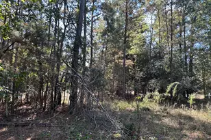 408 Ridgelake Scenic, Montgomery, TX 77316 - Photo 14