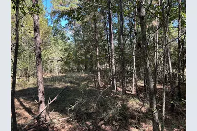 408 Ridgelake Scenic, Montgomery, TX 77316 - Photo 4