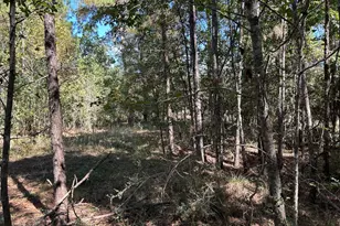 408 Ridgelake Scenic, Montgomery, TX 77316 - Photo 4