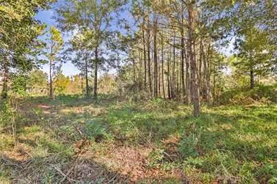 576 County Road 614, Dayton, TX 77535 - Photo 10