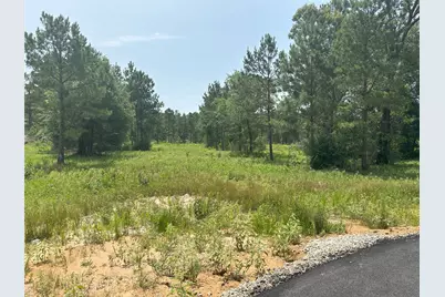 31823 Boone Road, Waller, TX 77484 - Photo 14