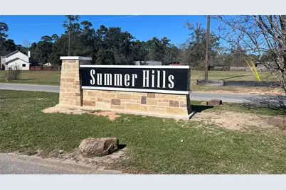 Lot 179 Indigo Way, Porter, TX 77365 - Photo 2