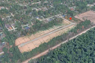 Lot 179 Indigo Way, Porter, TX 77365 - Photo 2