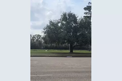 1134 Wynnwood Lane, Houston, TX 77008 - Photo 4
