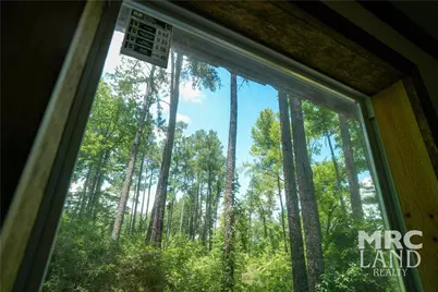 00 Forest Service Road 511, Grapeland, TX 75844 - Photo 32