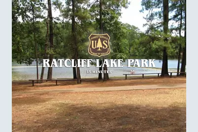 00 Forest Service Road 511, Grapeland, TX 75844 - Photo 22