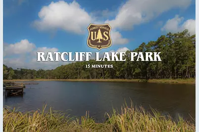 00 Forest Service Road 511, Grapeland, TX 75844 - Photo 20