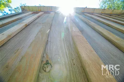 00 Forest Service Road 511, Grapeland, TX 75844 - Photo 12