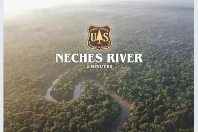 00 Forest Service Road 511, Grapeland, TX 75844 - Photo 24