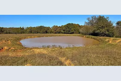4834 Old Boone Prairie Road - 108 Acres, Franklin, TX 77856 - Photo 8