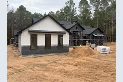 13010 Royal Hill Court, Montgomery, TX 77316 - Photo 4