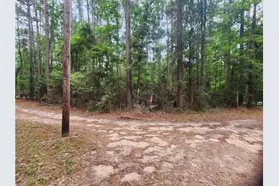 277 Long King, Livingston, TX 77351 - Photo 2