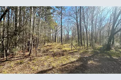0 Royal Springs Rd Road, Conroe, TX 77303 - Photo 1