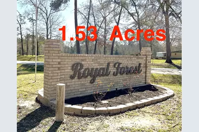 0 Royal Springs Rd Road, Conroe, TX 77303 - Photo 1
