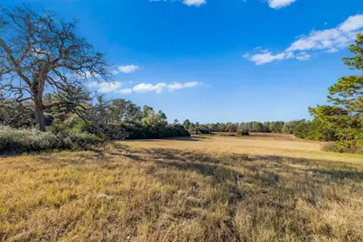 Tbd Pr 1316, Centerville, TX 75833 - Photo 16