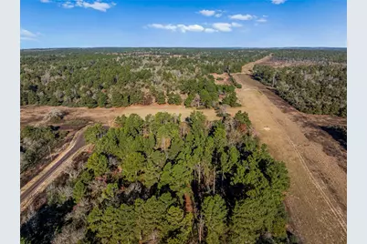 Tbd Pr 1316, Centerville, TX 75833 - Photo 4