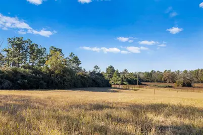 Tbd Pr 1316, Centerville, TX 75833 - Photo 18