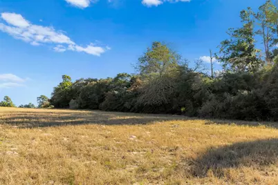 Tbd Pr 1316, Centerville, TX 75833 - Photo 2