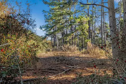 Tbd Pr 1316, Centerville, TX 75833 - Photo 20