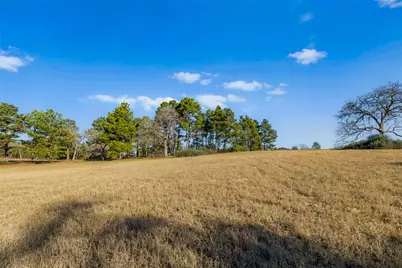 Tbd Pr 1316, Centerville, TX 75833 - Photo 14